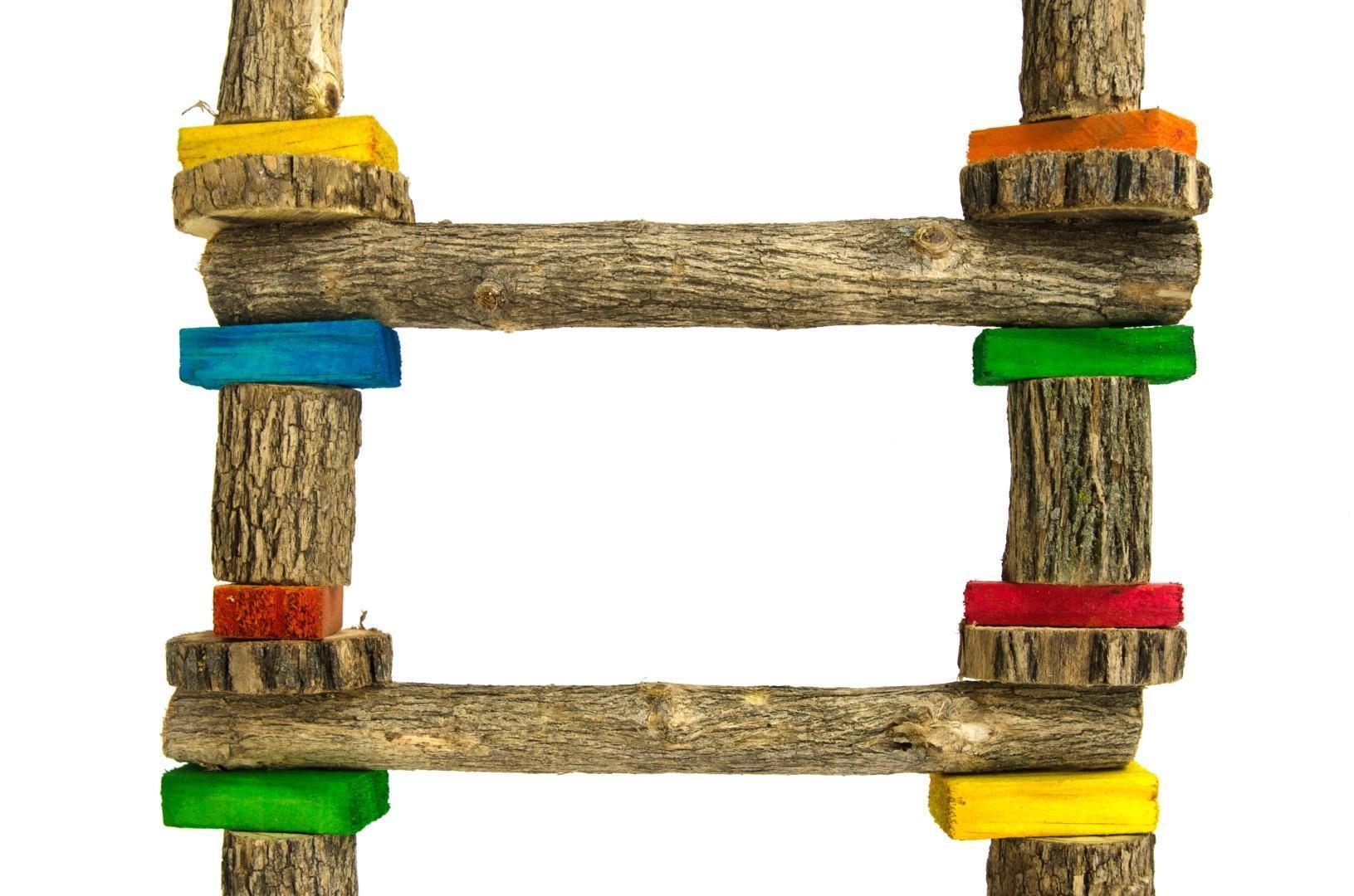 7 - Step Sekelbos ladder X-big bird parrot game