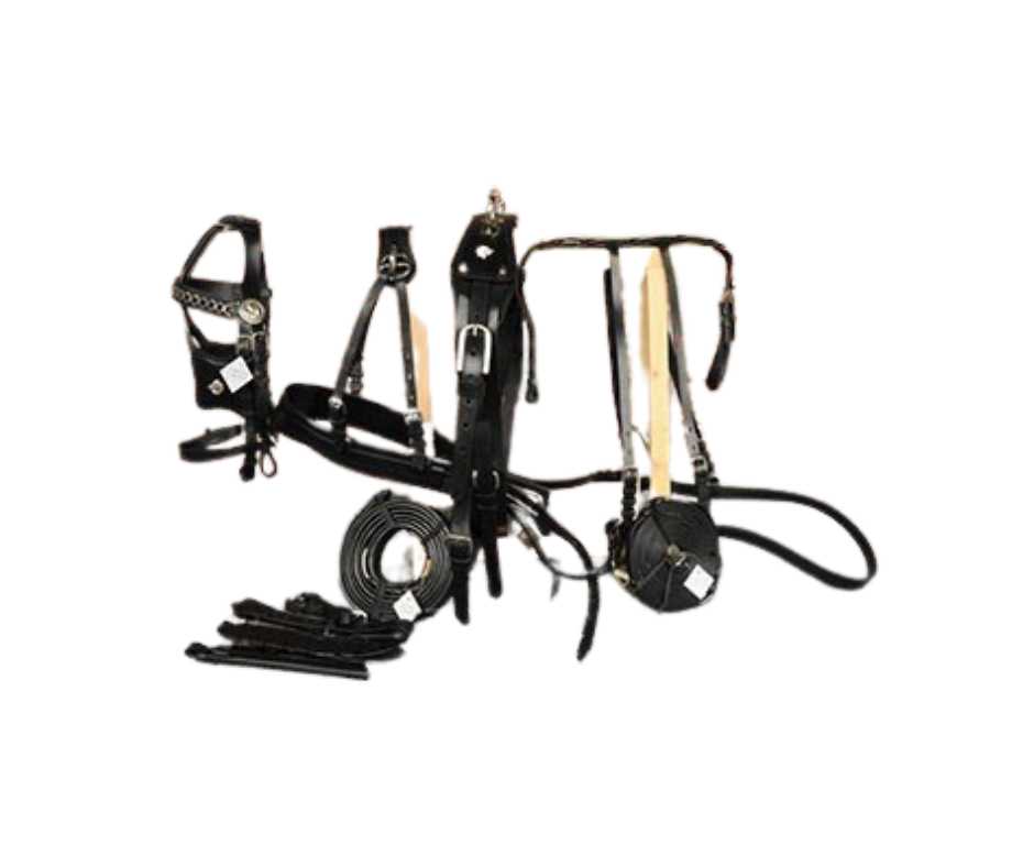 Friesian harness