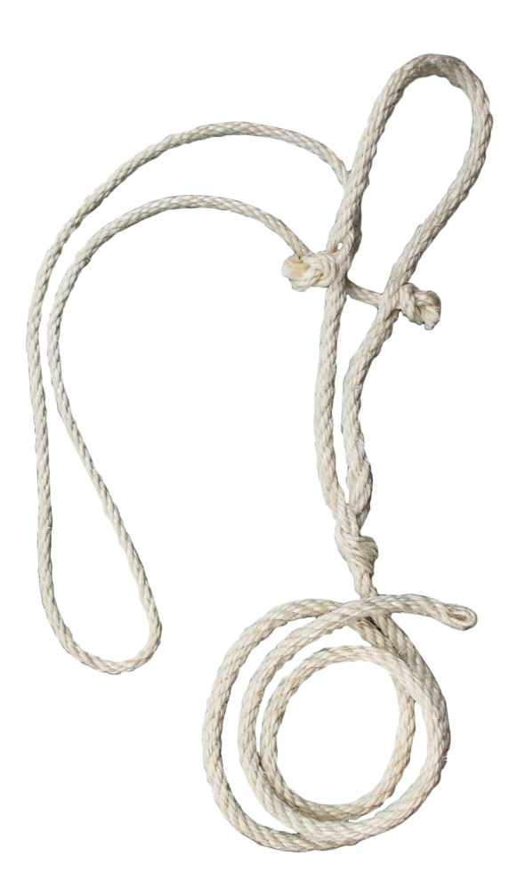 Cow rope halter + thin head rope