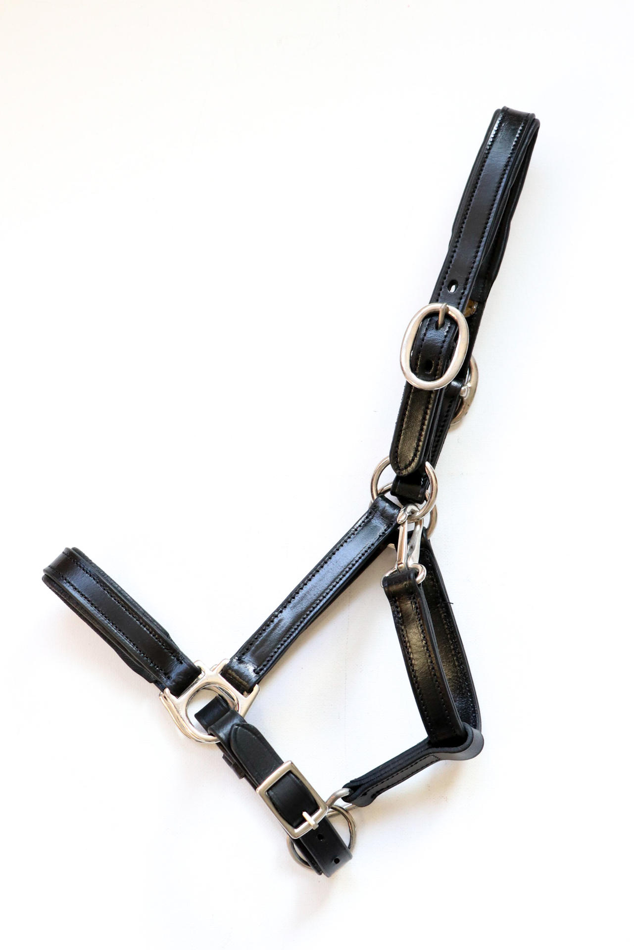 Siena lined foal headcollar, halter