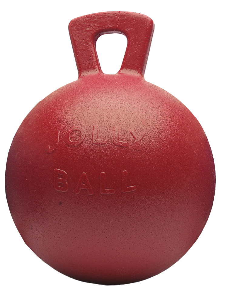 Play ball for horses