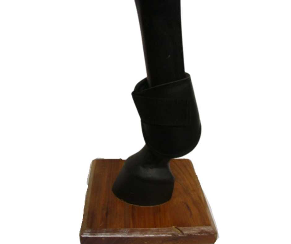 Fanny fetlock boots