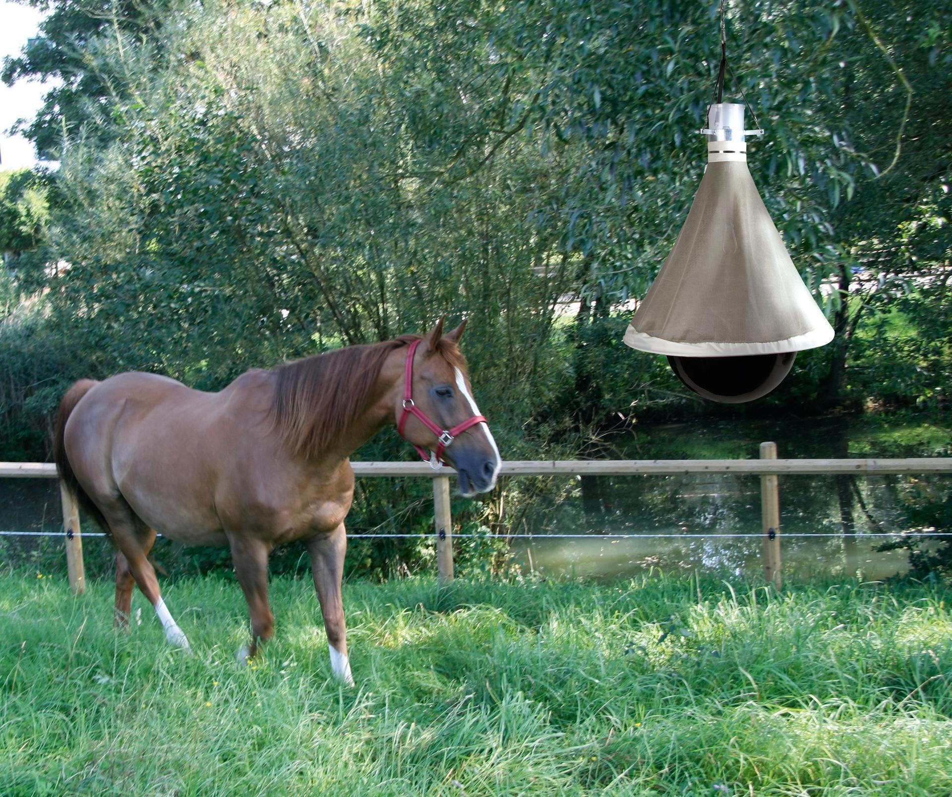 horse fly trap TaonX Eco stable animal husbandry pest control