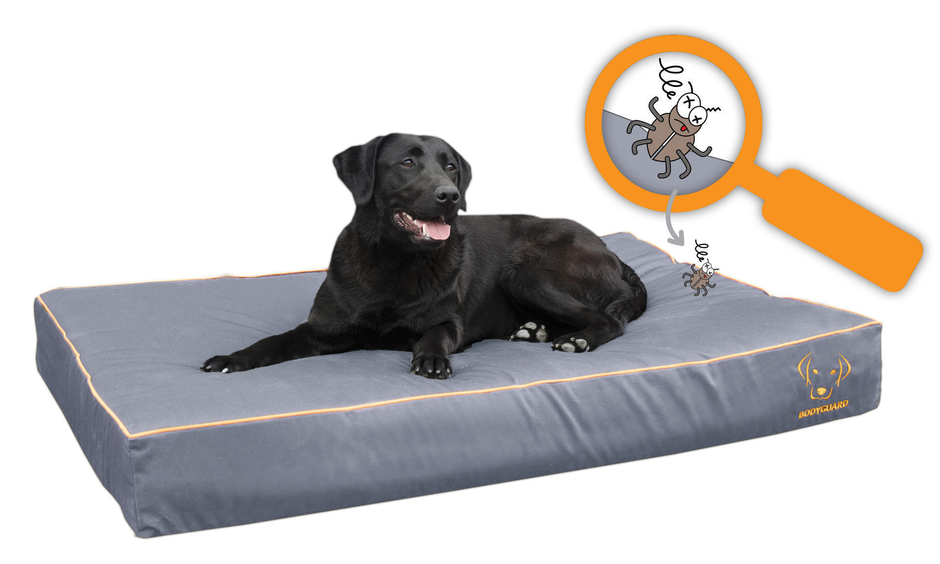 Royal dog bed S