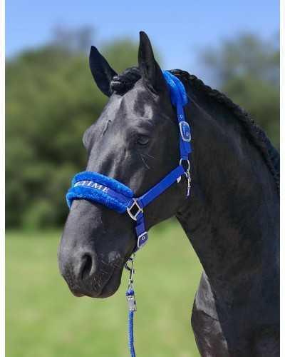 Lauro Headcollar, halter