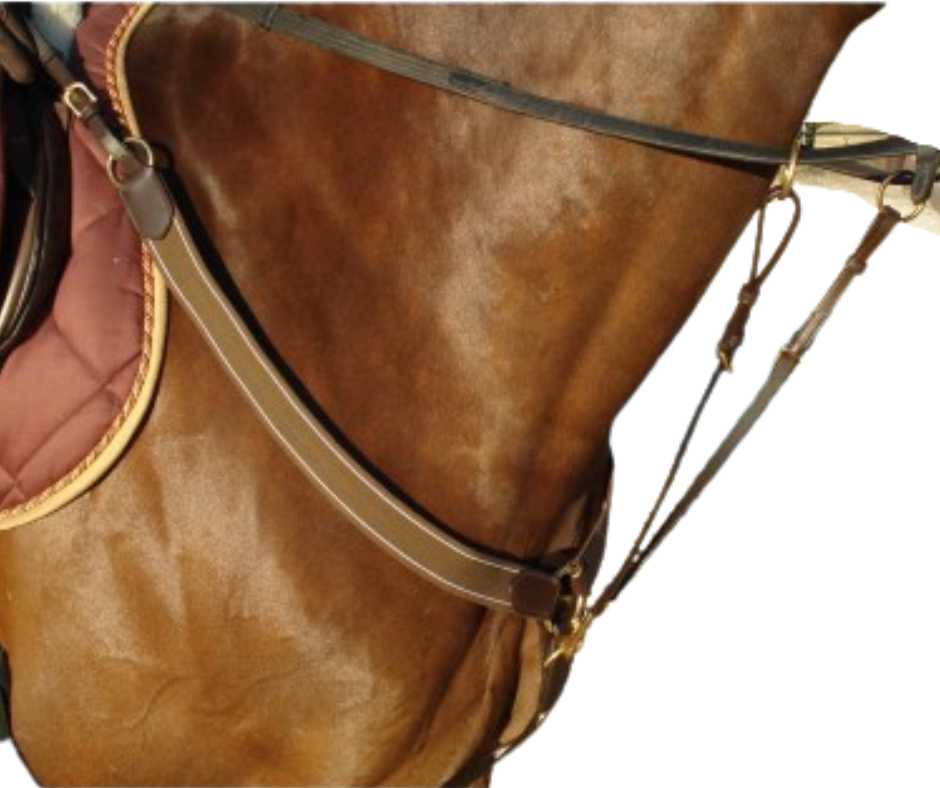 New Jersey breastplate with martingale