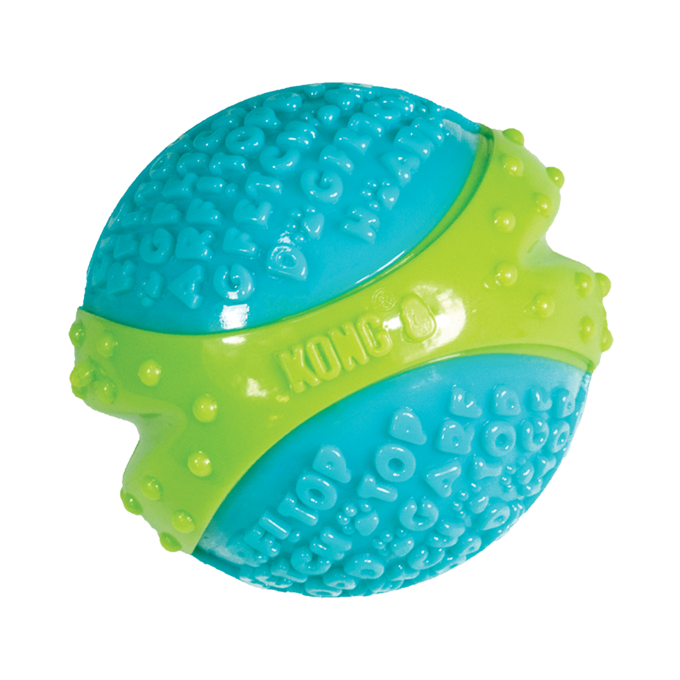 CoreStrength ball medium dog toy