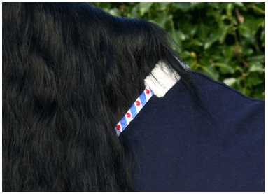 Grand Canyon XX Horse rug