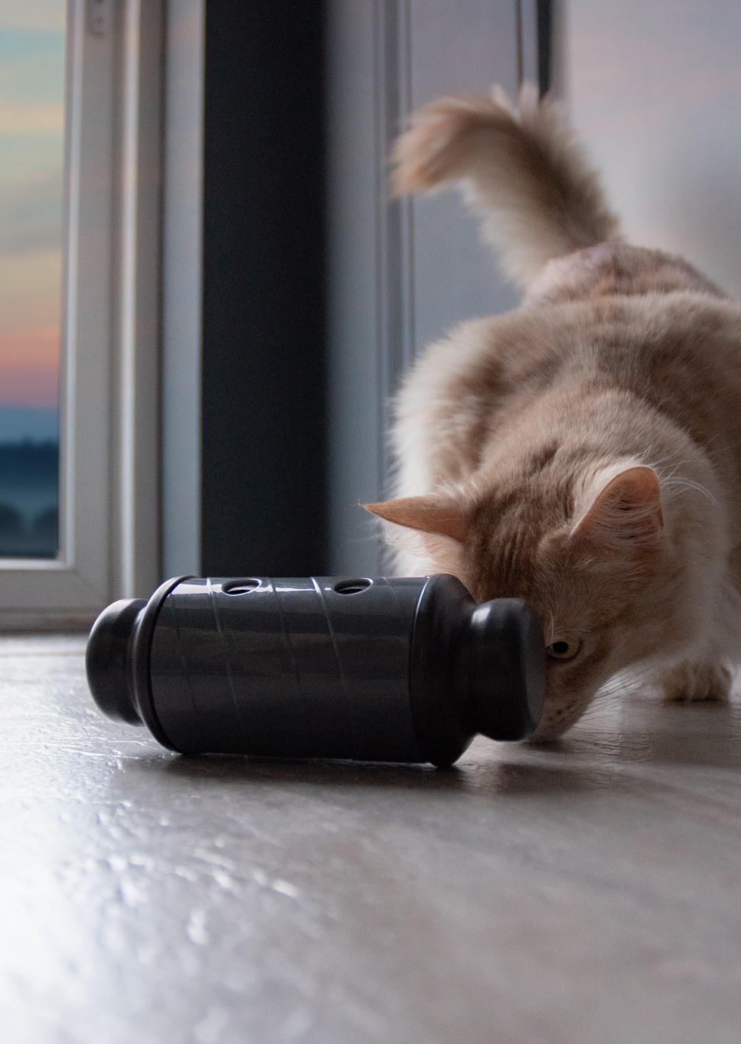 Slow feeding toy for dog and cat