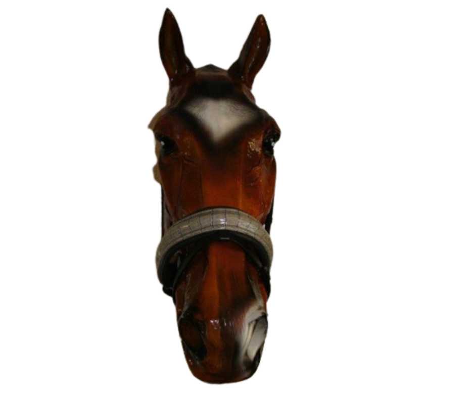 Bodza noseband