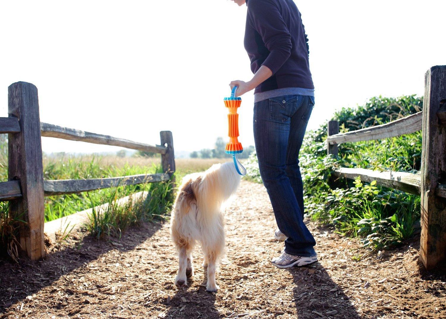 Uneven chew toy large 34 cm dog toy