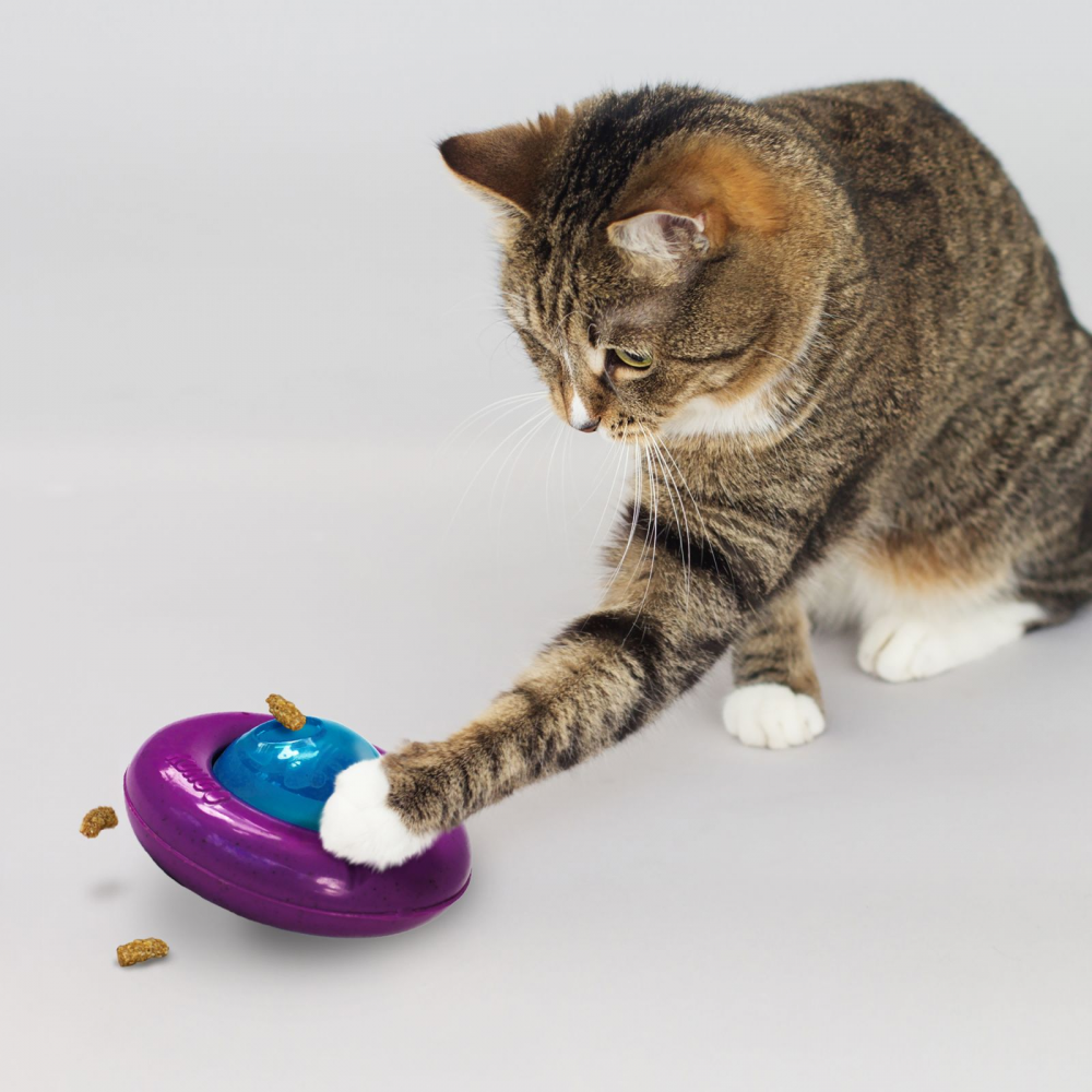 Infused Cat Gyro ball cat toy