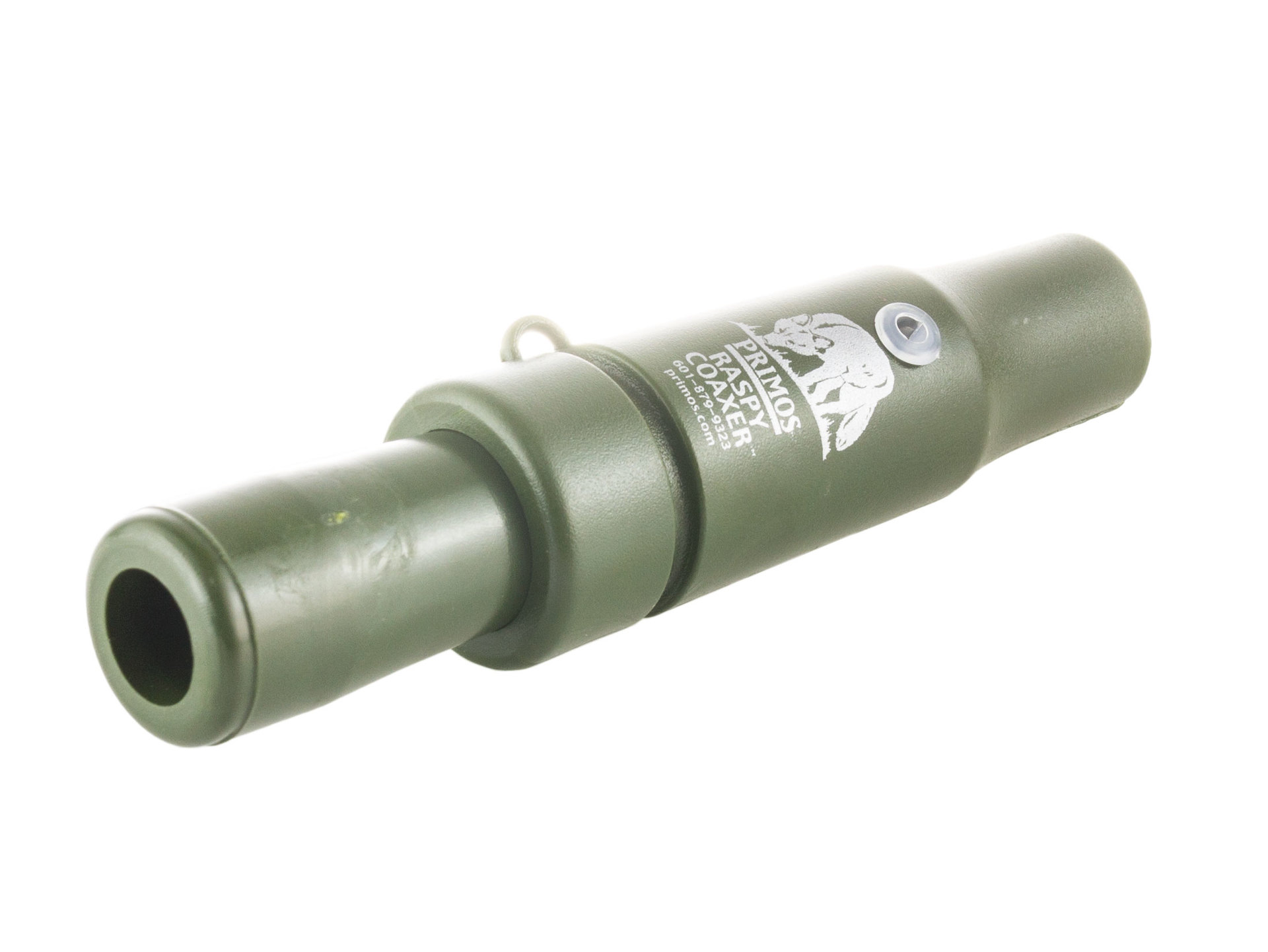 Raspy Coaxer fox baitfish hunting