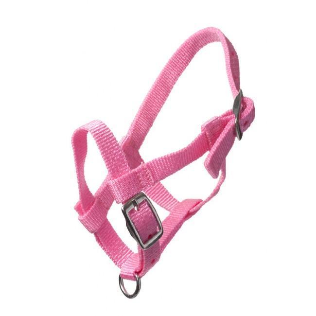 Adria Nylon headcollar