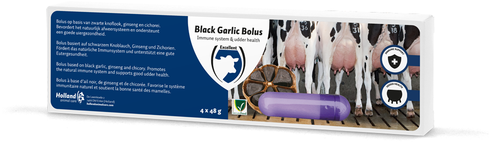 Black garlic, bovine bolus minerals