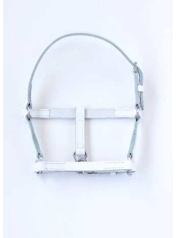 Kitty Mini Shetland headcollar, halter