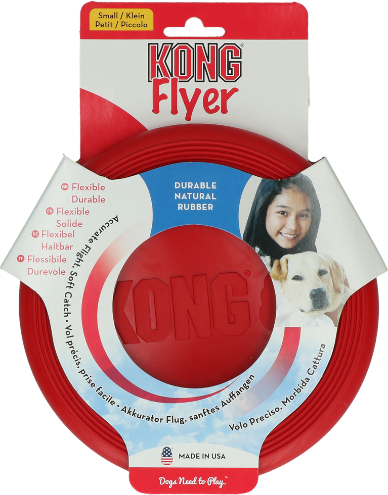 Frisbee small dog game