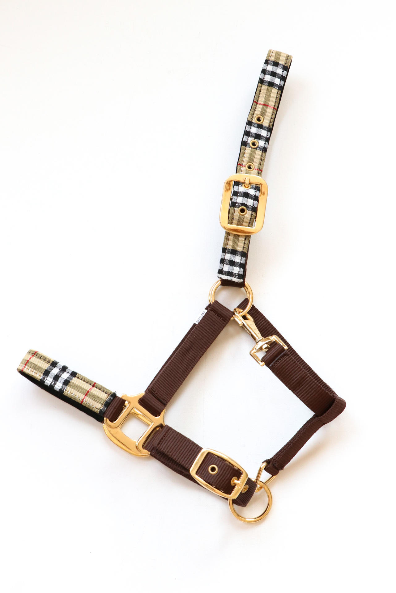 Special Edition headcollar, halter