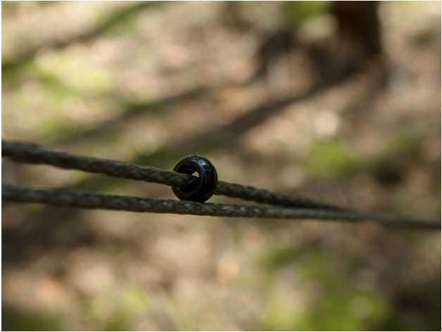 Hammock Suspension Smuk Black Tourism FREE SLEEPING Equipment Free Sleeping Hammocks Hammocks Mats Tents