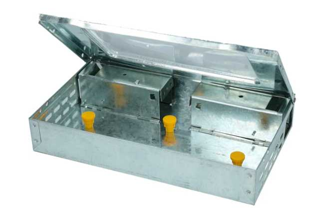 Mango flavoured allergen-free bait for rats to bait mice