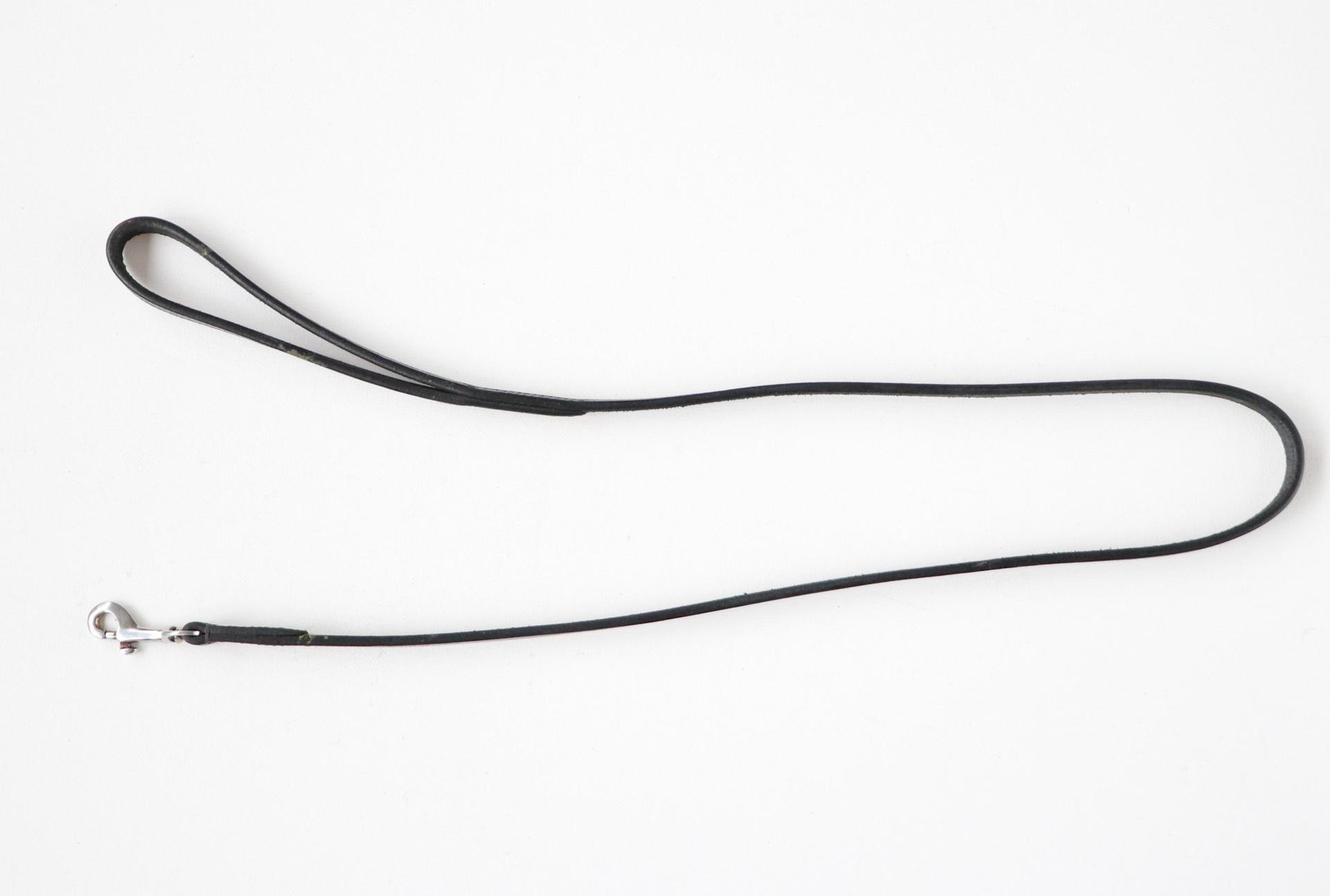 015 leather puppy leash brown 100 cm leather special