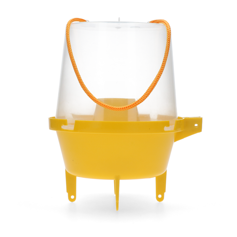 wasp trap