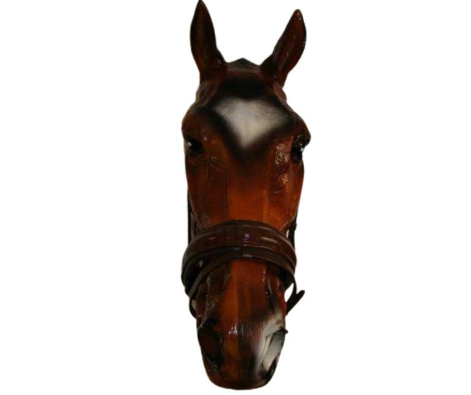 Bodza noseband
