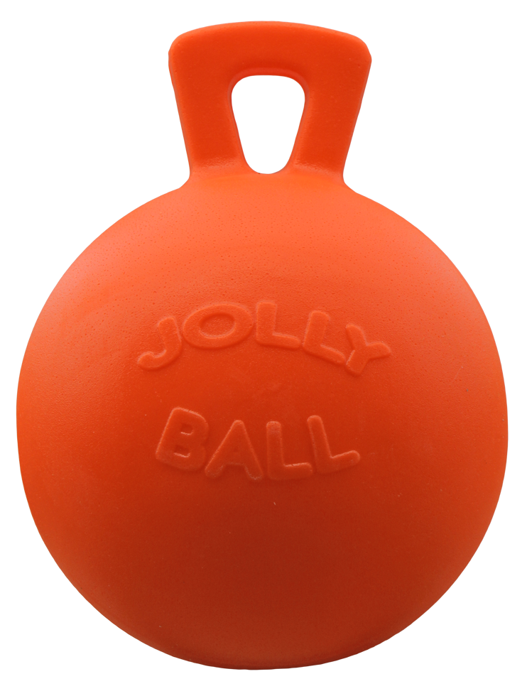 Play ball for horses 2
