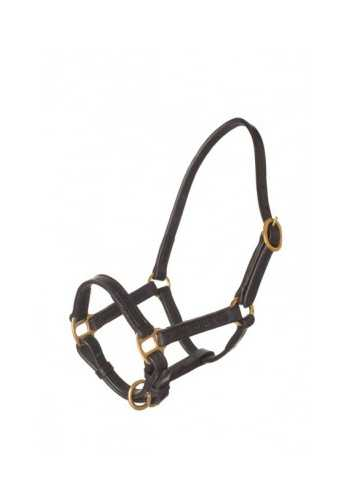 Bőr Headcollar and halter for mini foal