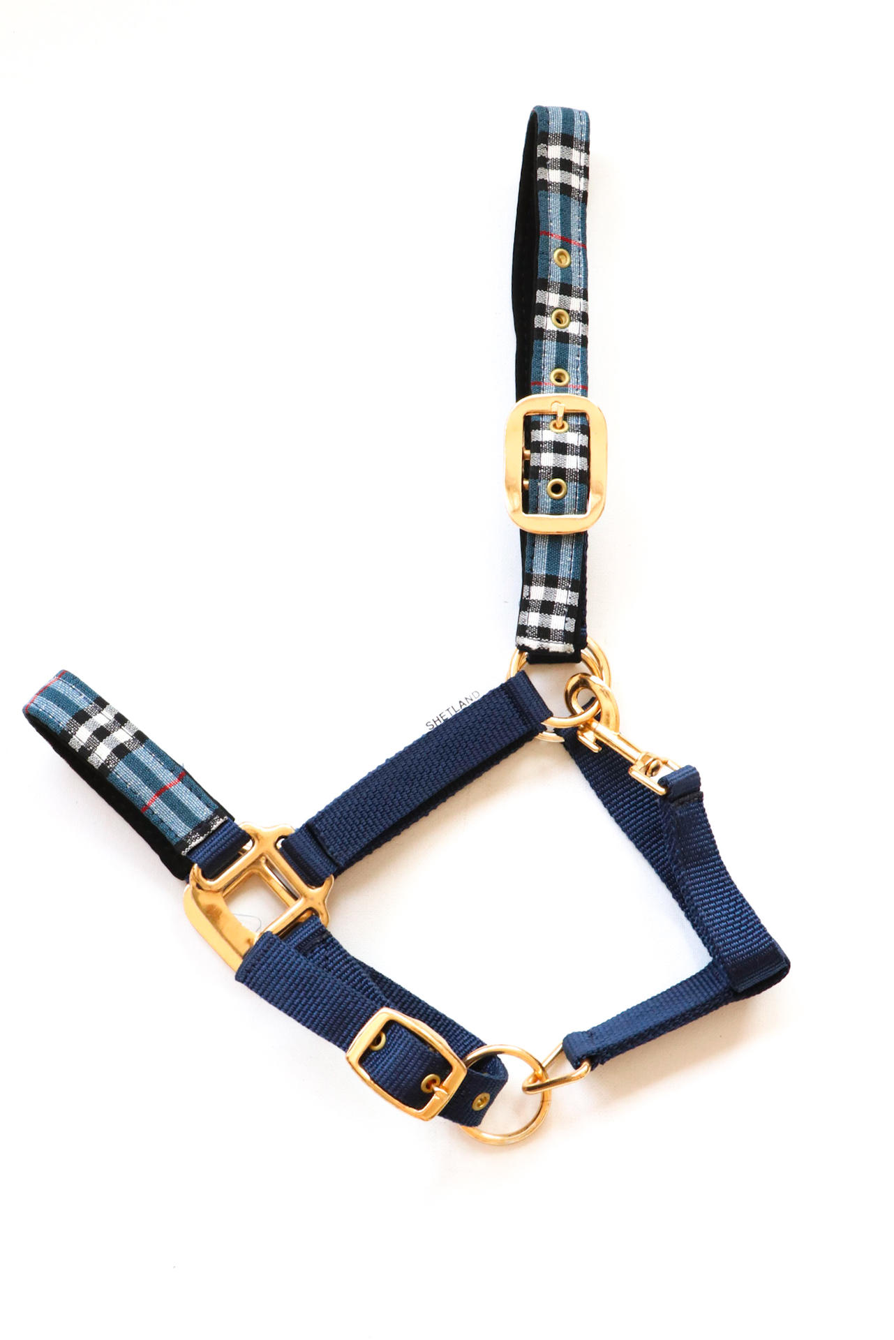 Special Edition headcollar, halter