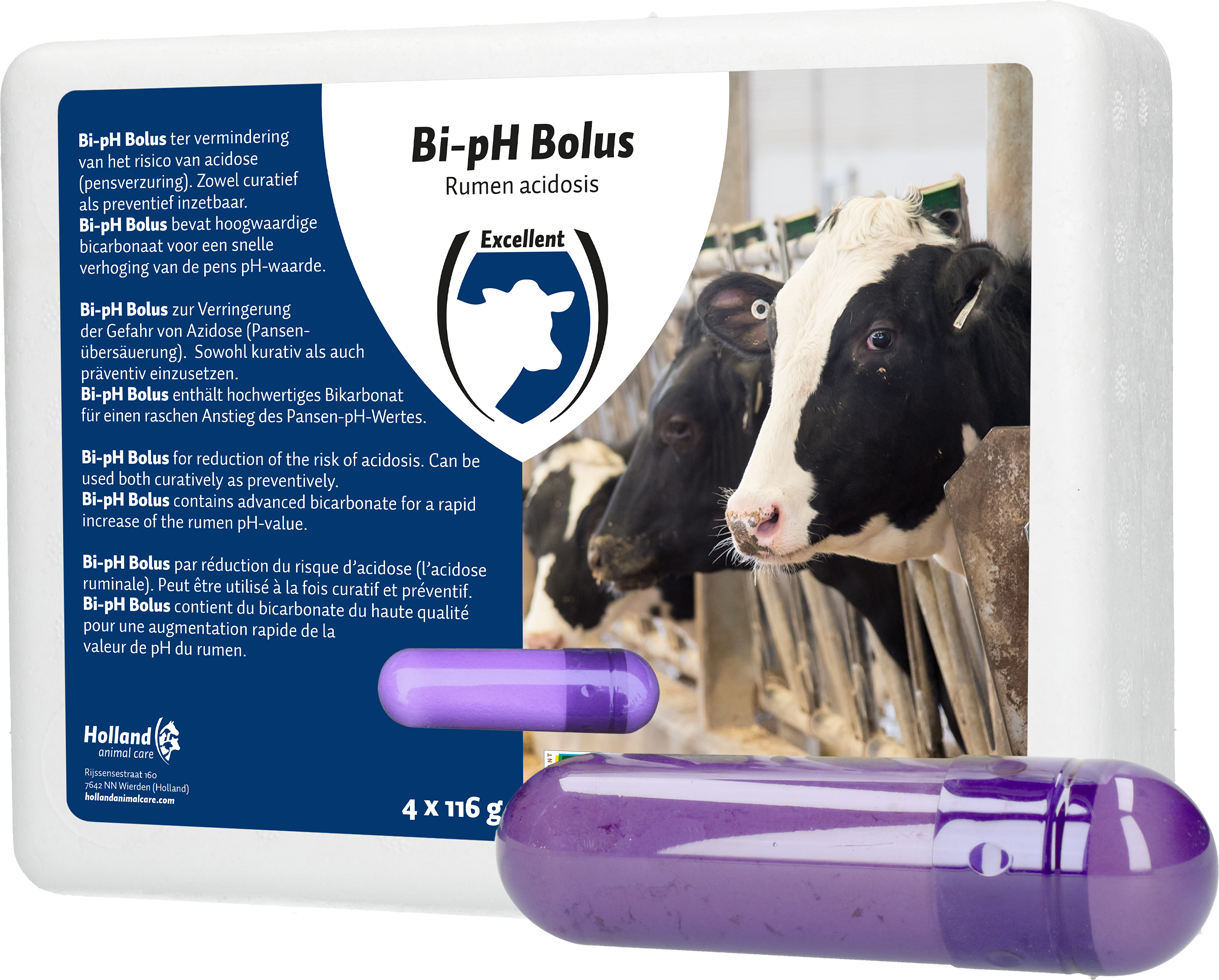Bovine bolus with two pH values (bicarbonate bolus), bovine boluses minerals