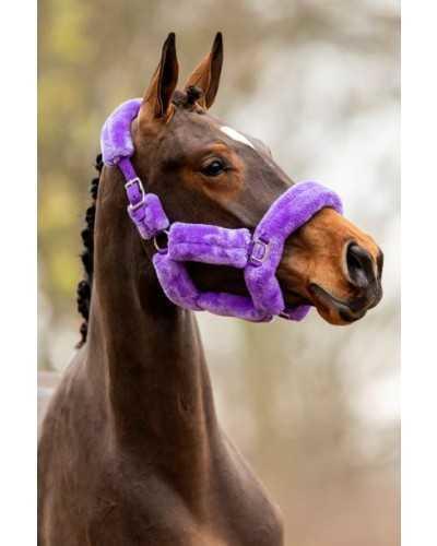 Borgo Headcollar, halter
