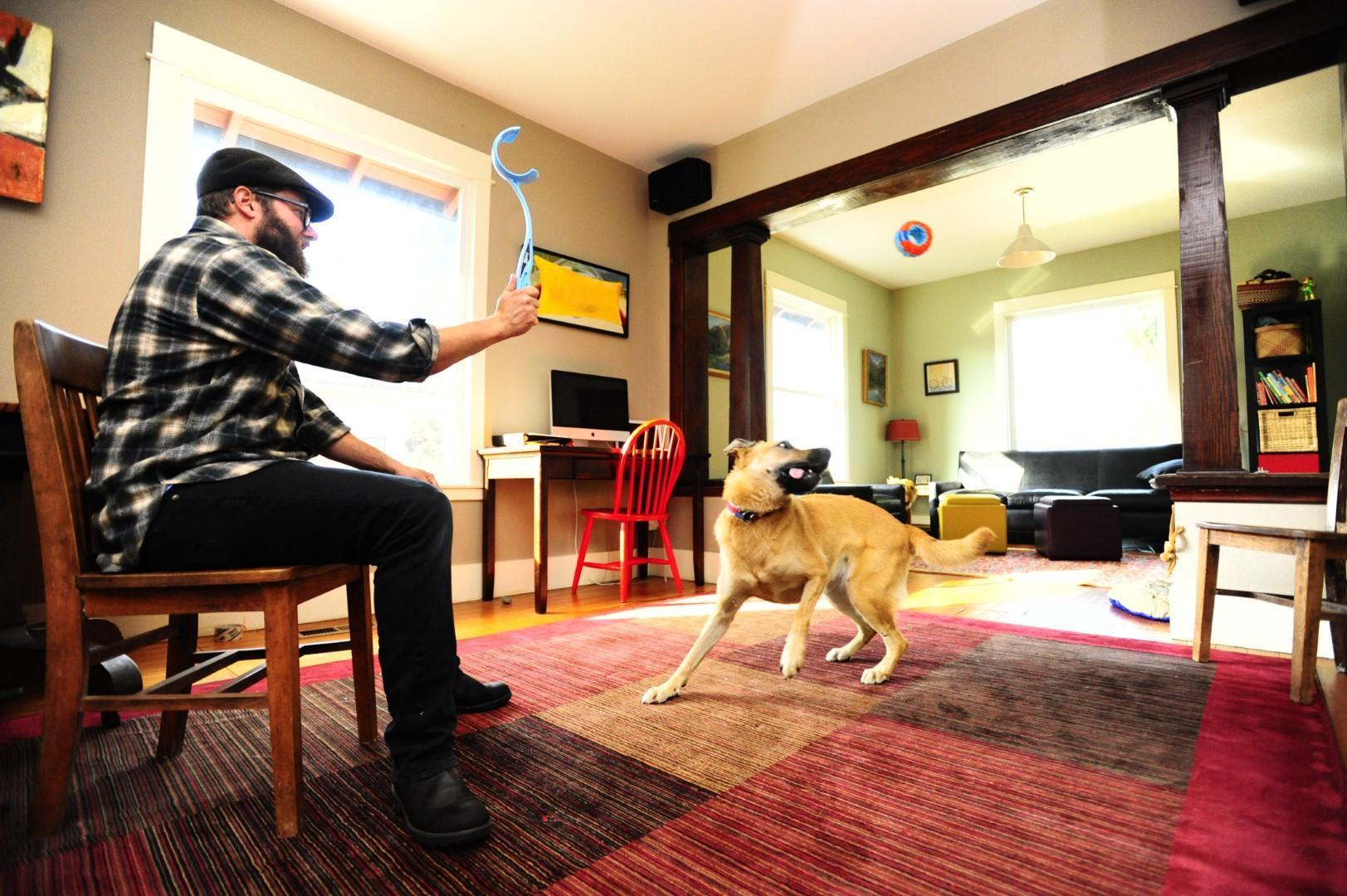 Indoor dog toy 12 cm