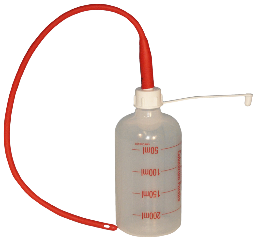 lamb feeding bottle