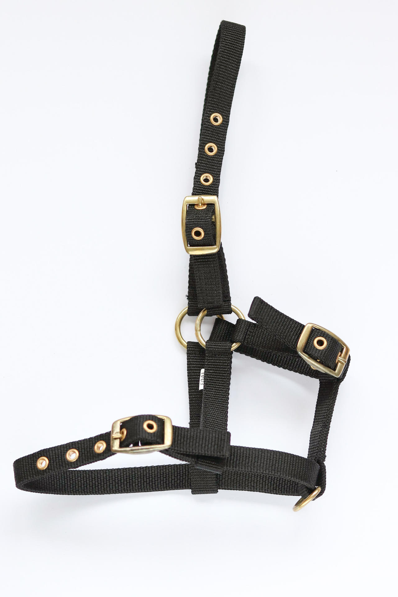 Amika headcollar