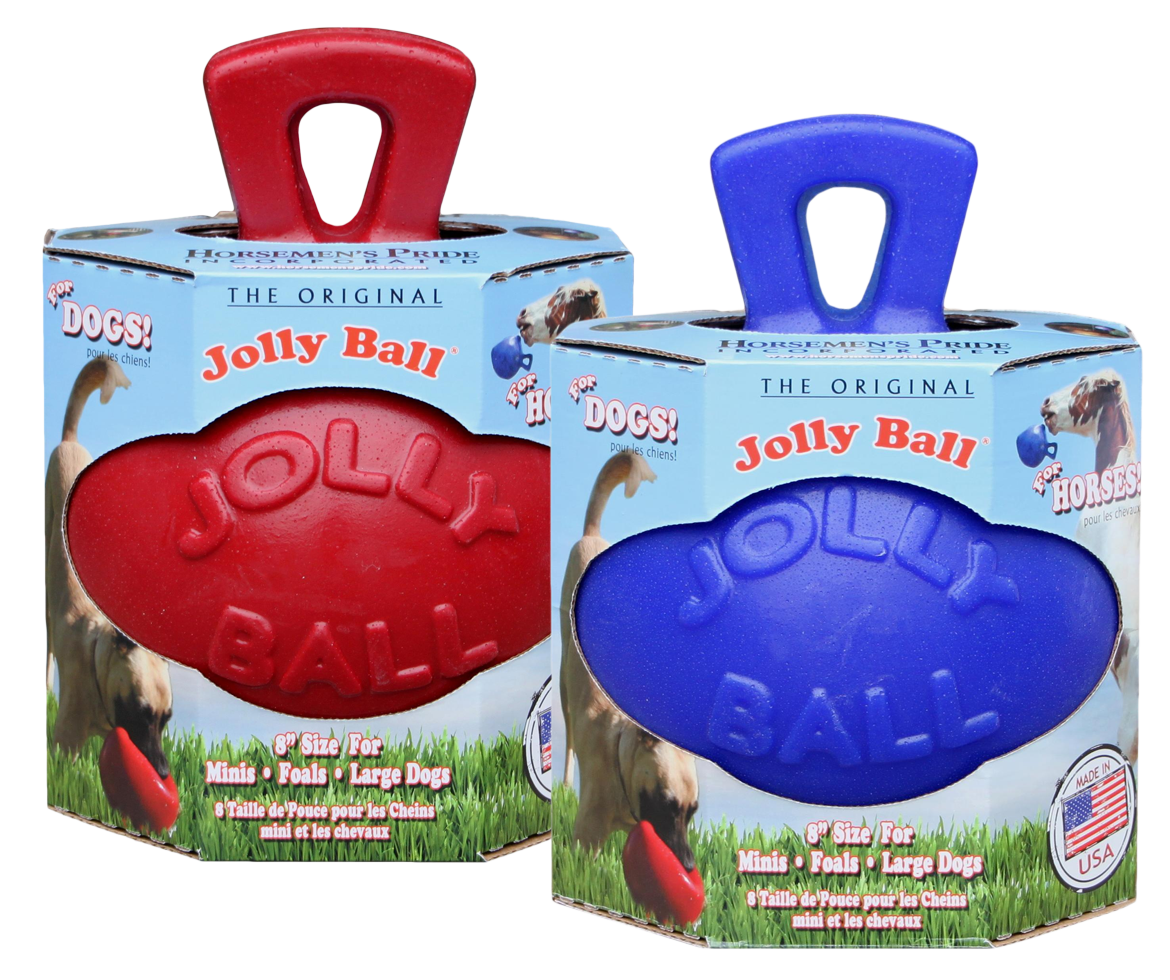 Play ball for horses 2