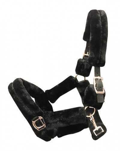 Pianillo Showtime Headcollar,  halter