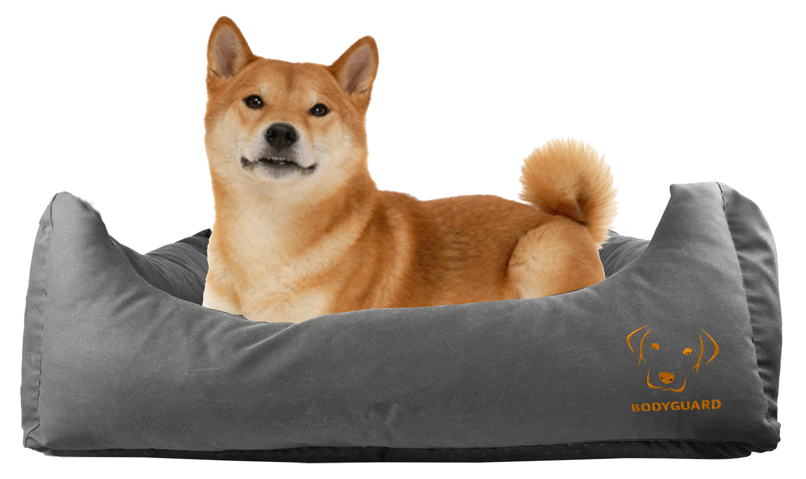 Bodyguard dog cap S grey