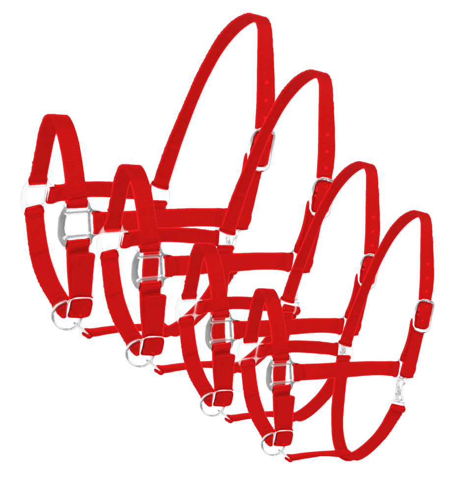 Dole Headcollar and halter