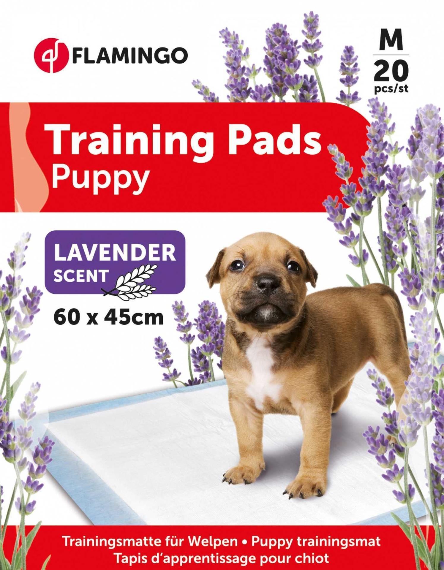 Dog litter box with lavender scent 60x45 20x litter box apartment cleanliness