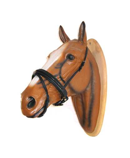 Bella noseband
