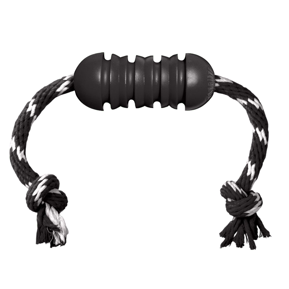 Extreme chew toy dog toy with rope treats