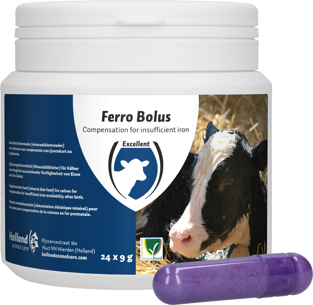 Ferro Bolus for iron deficiency treatment, cattle calf rearing
