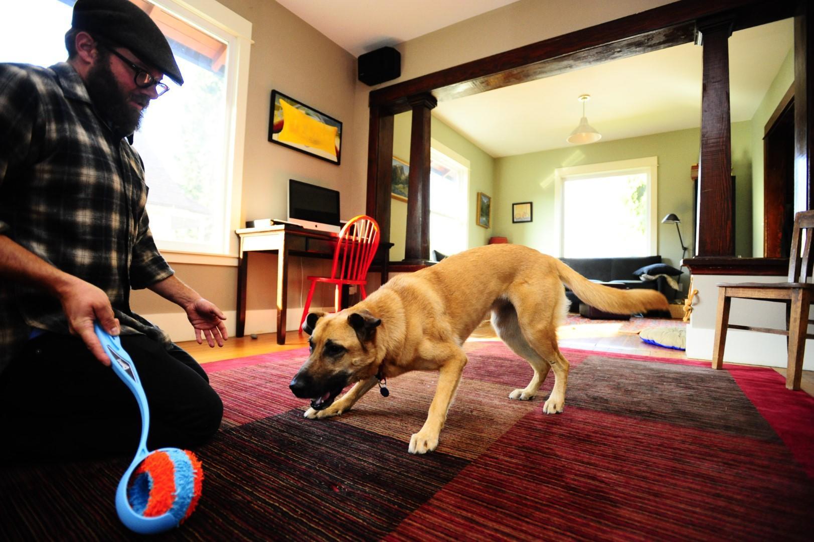 Indoor dog toy 12 cm