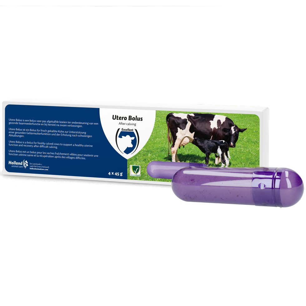 Utero Bolus Postpartum Supplementary feed for cattle giving birth, calving