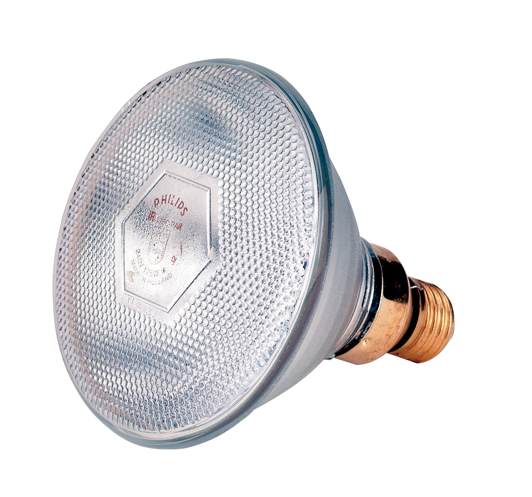 infrared energy saving lamp 175 W white barn animal housing heat lamps