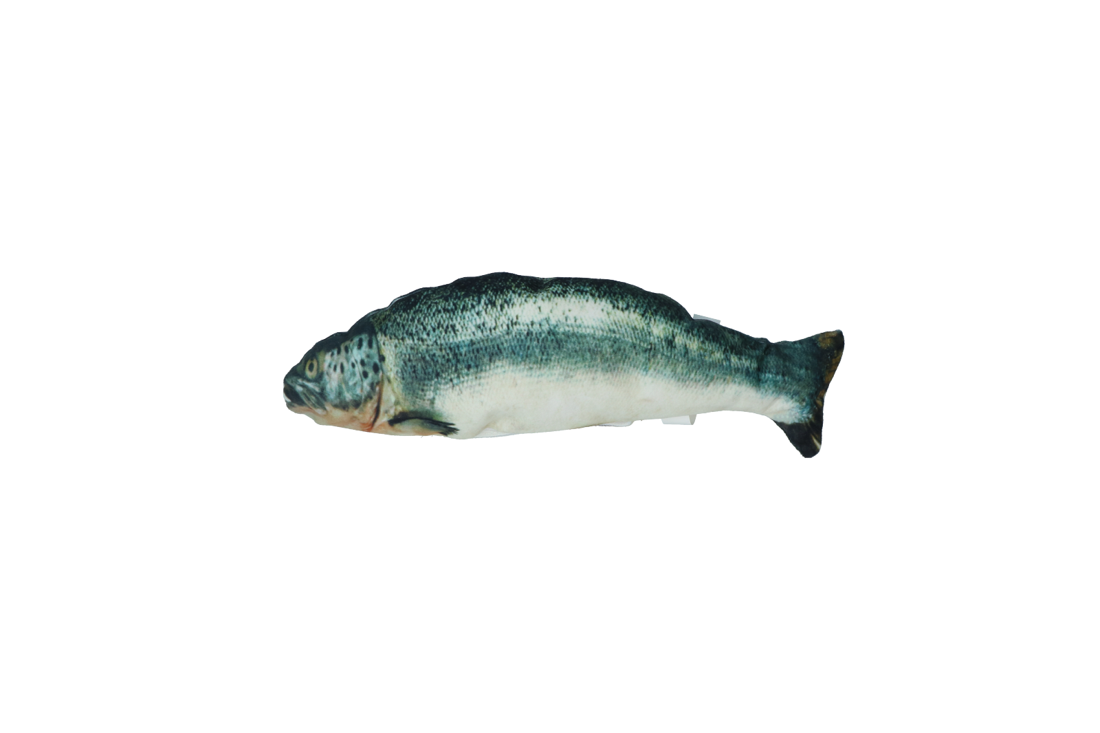 Salmon cat toy stuffed with catnip