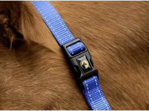 Monzo Headcollar, halter