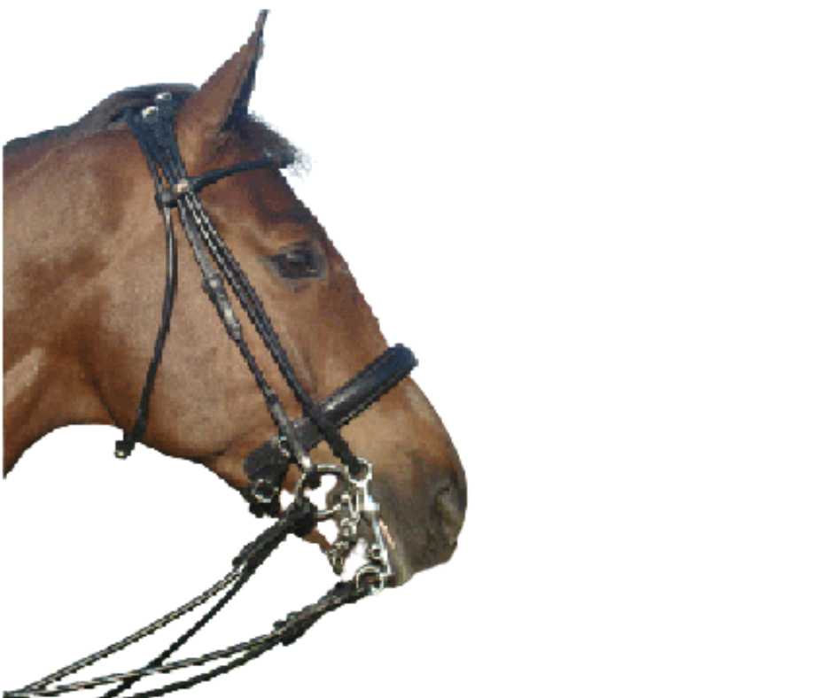 London bridle