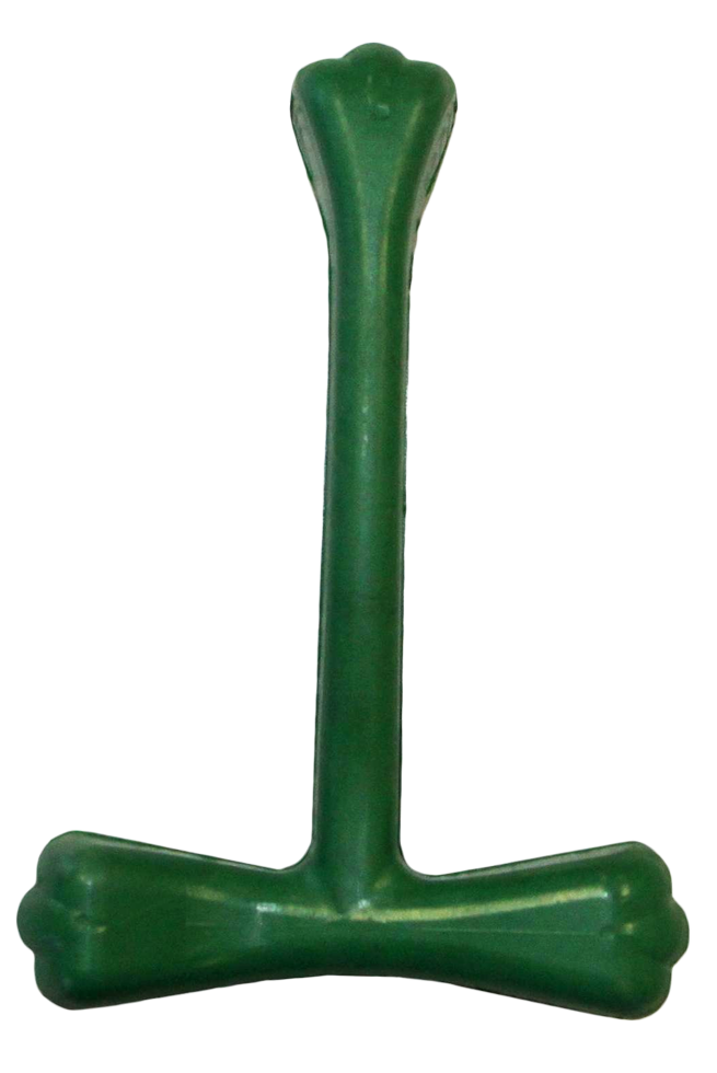 Toothbrush toy for dogs